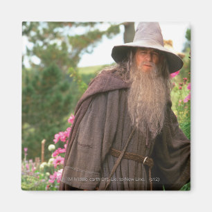 Íman GANDALF™ com chapéu