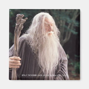 Íman GANDALF™ em pé