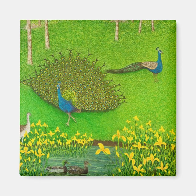 Íman Ganhando vitórias 2012 (Frente)