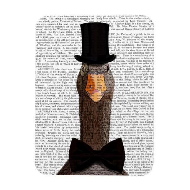 Íman Ganso Distinto 2 (Vertical)