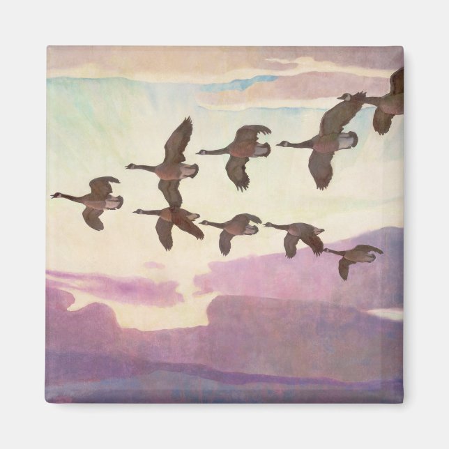 Íman Gansos do Canadá em Primavera por Newell Convers W (Frente)