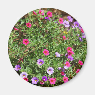 Íman Garden Petunia Magnet