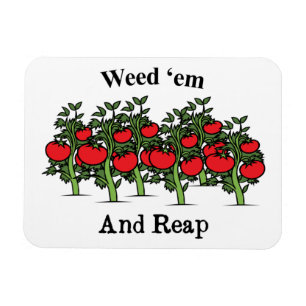 Íman Gardener Engraçada E Colhe