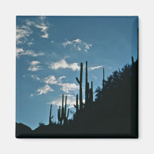 Íman Garganta de Sabino, arizona