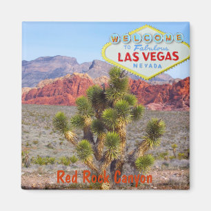 Íman Garganta vermelha da rocha perto da tira de Las