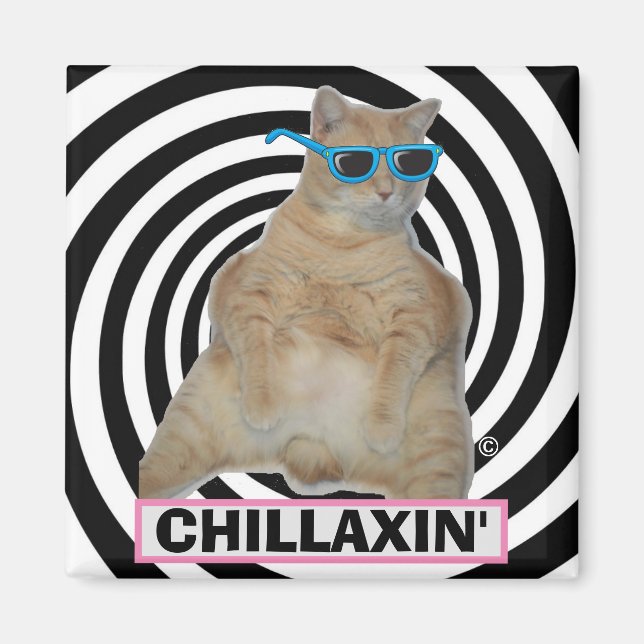 ÍMAN GATÃO MANX GORDO DE ÓCULOS DE SOL "CHILLAXIN" (Frente)