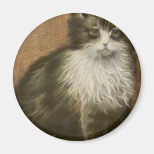 Íman Gatinho