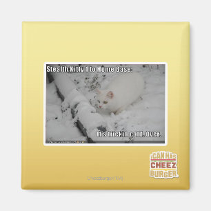 Íman Gatinho 1 do discrição