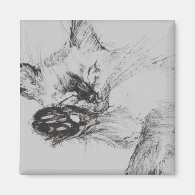 Íman Gatinho 'Bebê' (Frente)