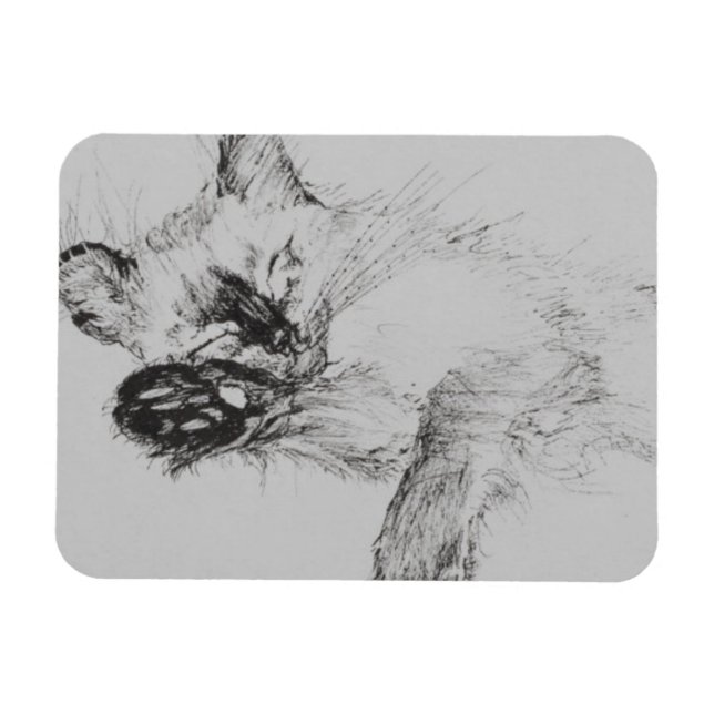 Íman Gatinho 'Bebê' (Horizontal)