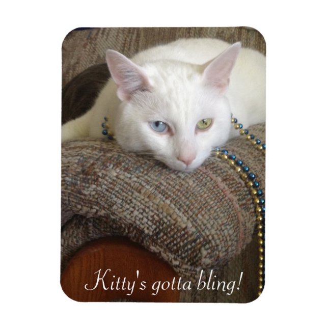 Íman Gatinho Bling Photo Magnet (Vertical)