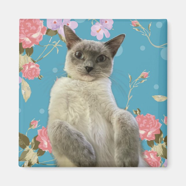 Íman Gatinho bonito (Frente)