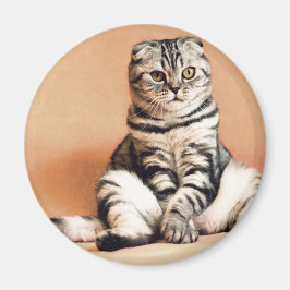 Íman Gatinho Bonito Desenterrado