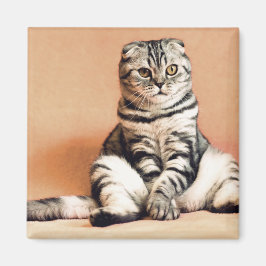 Íman Gatinho Bonito Desenterrado