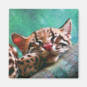 Íman Gatinho bonito do Ocelot do bebê do sono