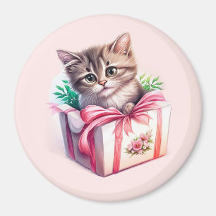 Íman Gatinho Bonito num Presente de Aniversário de Caix