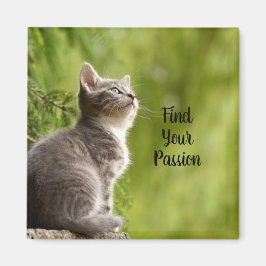 Íman Gatinho Cinza Fofo