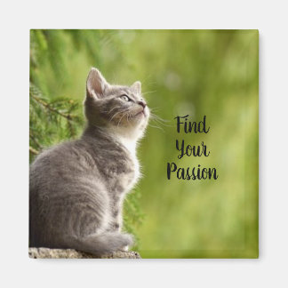 Íman Gatinho Cinza Fofo