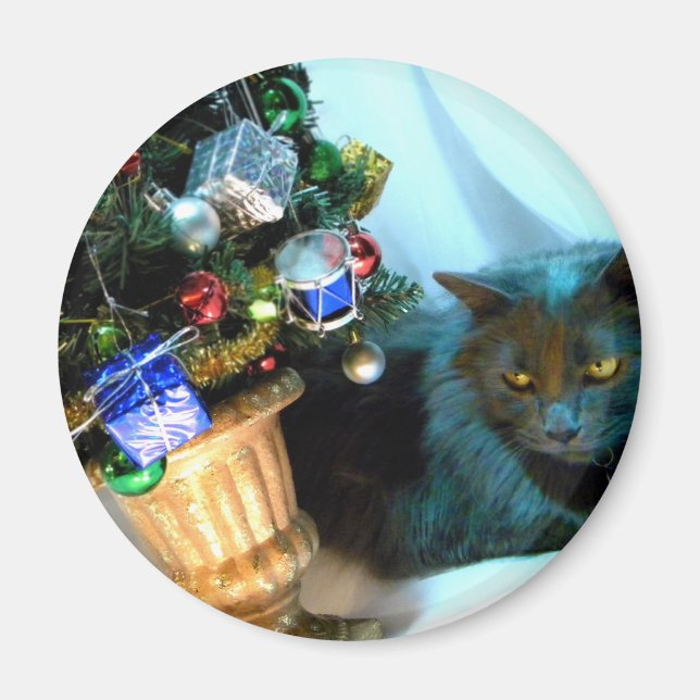 Íman Gatinho cinzento do Natal V (Frente)