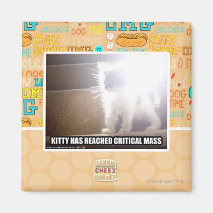 Íman Gatinho da massa crítica
