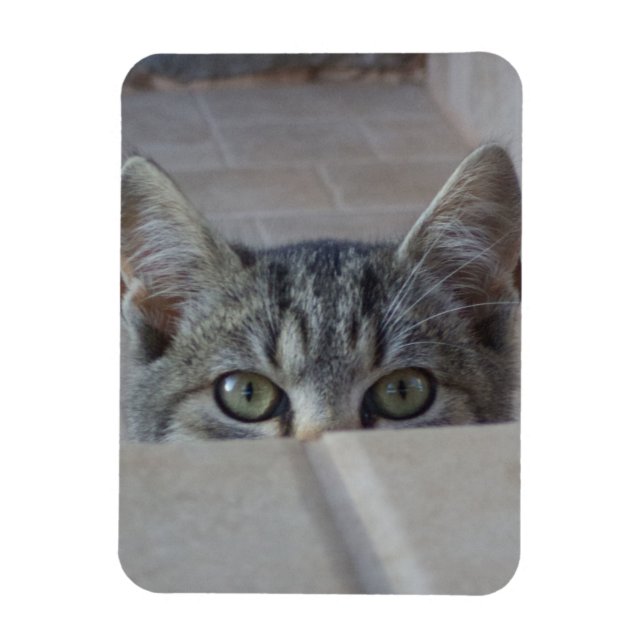 Íman Gatinho de esconde-esconde (Vertical)