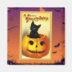 Íman Gatinho de Halloween sentado em Jack-O-Lantern Vin