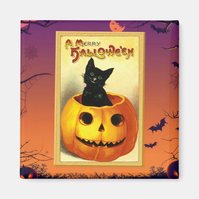 Íman Gatinho de Halloween sentado em Jack-O-Lantern Vin (Frente)