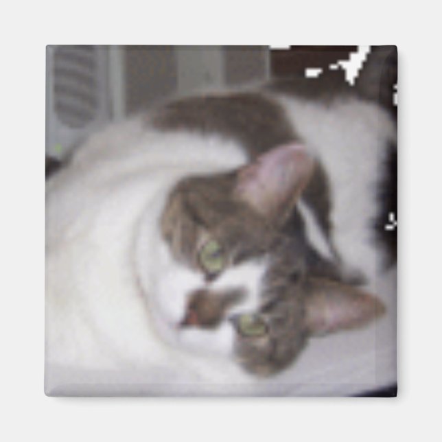 Íman Gatinho de Magnitude (Frente)