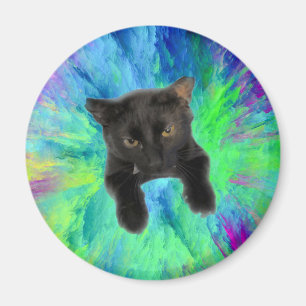 Íman Gatinho de manter os papéis no frigorífico