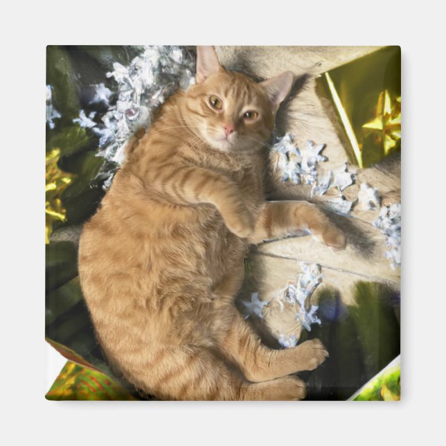 Íman Gatinho de Natal (Frente)