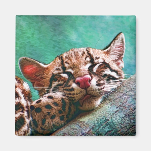 Íman Gatinho de Ocelot, Bebê Dormindo Bonito (Frente)
