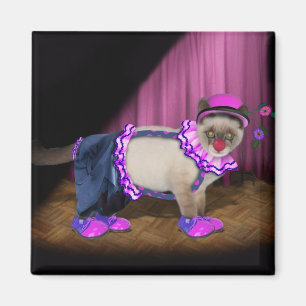 Íman Gatinho de Palhaço Cute