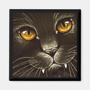 Íman Gatinho de vampiro! -Íman