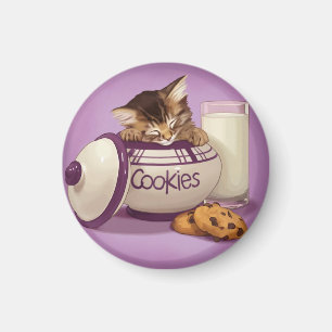 Íman Gatinho do frasco de biscoito