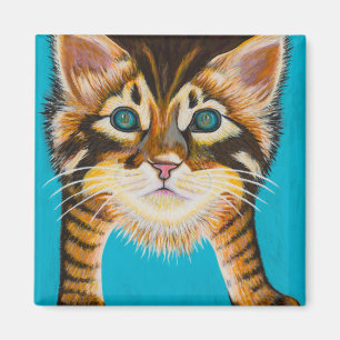 Íman Gatinho do gato malhado