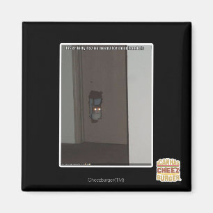 Íman Gatinho do laser