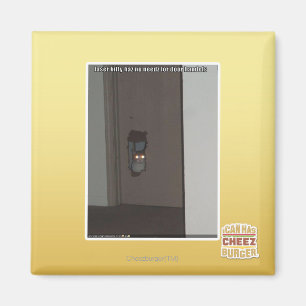 Íman Gatinho do laser