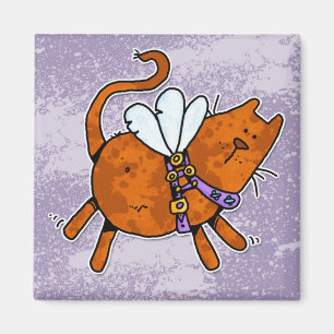 Íman gatinho do vôo