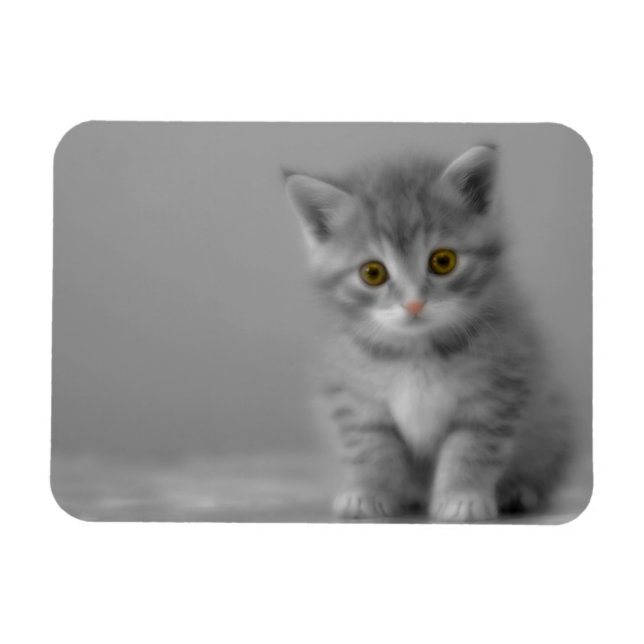 Íman Gatinho Doce (Horizontal)