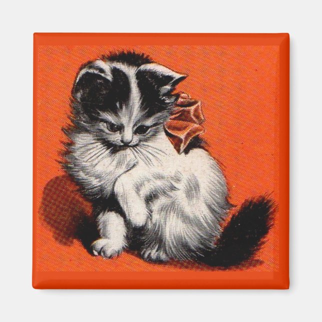 Íman gatinho doce (Frente)