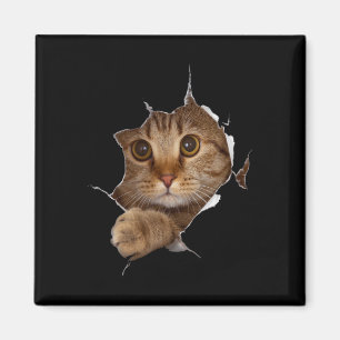 Íman Gatinho Doce Roupa Torta - Gateiro Engraçado