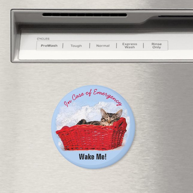 Íman Gatinho Dormindo Bonito Na Foto Personalizada Do C (In Situ (Dishwasher))