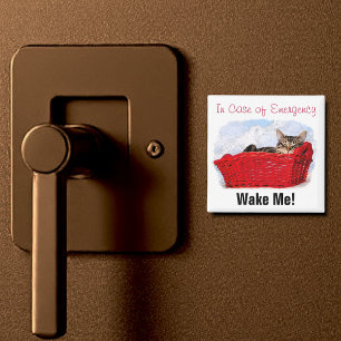 Íman Gatinho Dormindo Bonito, Personalizado Em Cesta Ve