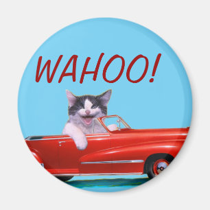 Íman Gatinho em um Convertible vermelho