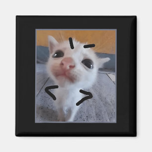 Íman Gatinho Engraçado Gato Furioso Fresco Gatinho Fres