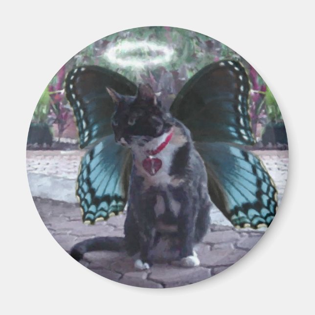 Íman Gatinho Fairy Angel Kelly Magnet (Frente)
