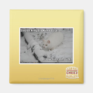 Íman Gatinho furtivo 1