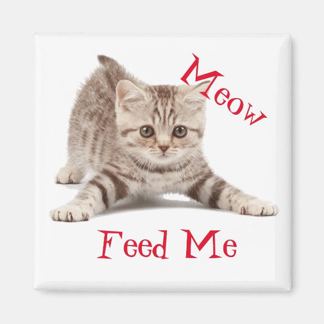 Íman Gatinho Gato (Frente)