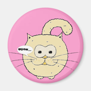 Íman Gatinho-gato