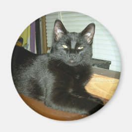 Íman Gatinho Imperial